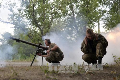Poutine et Merkel demandent un cessez-le-feu immédiat en Ukraine - ảnh 1